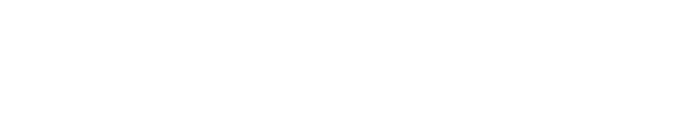 Business POS